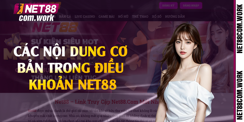 Các nội dung cơ bản trong điều khoản Net88