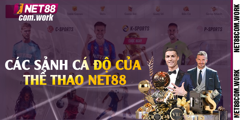 Các sảnh cá độ của thể thao Net88