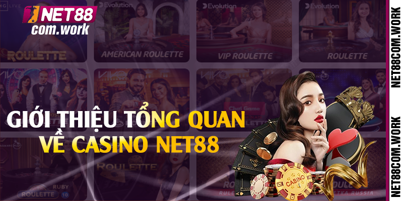 Giới thiệu tổng quan về casino Net88