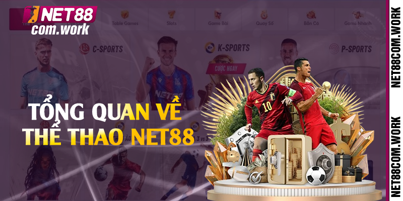 Tổng quan về thể thao Net88